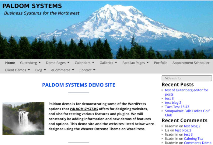 Paldom Systms Portfolio